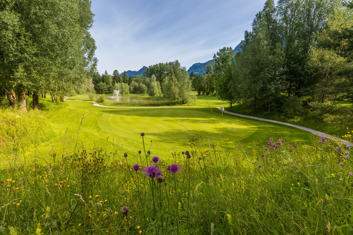 Der Golfplatz des Golf Club Heidiland mit einem gepflegten Grün ist umgeben von leuchtenden Wildblumen und hohen Bäumen. Ein weit entfernter Springbrunnen sorgt unter klarem Himmel für zusätzliche Ruhe.