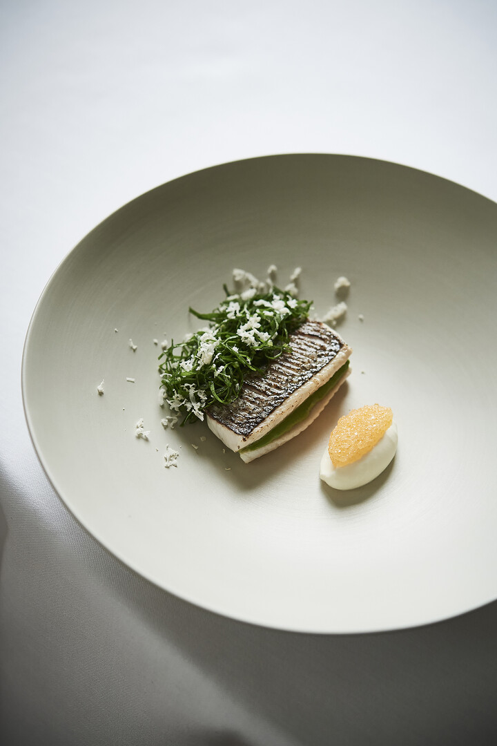 Felchen / Sauerampfer / Albeli-Kaviar