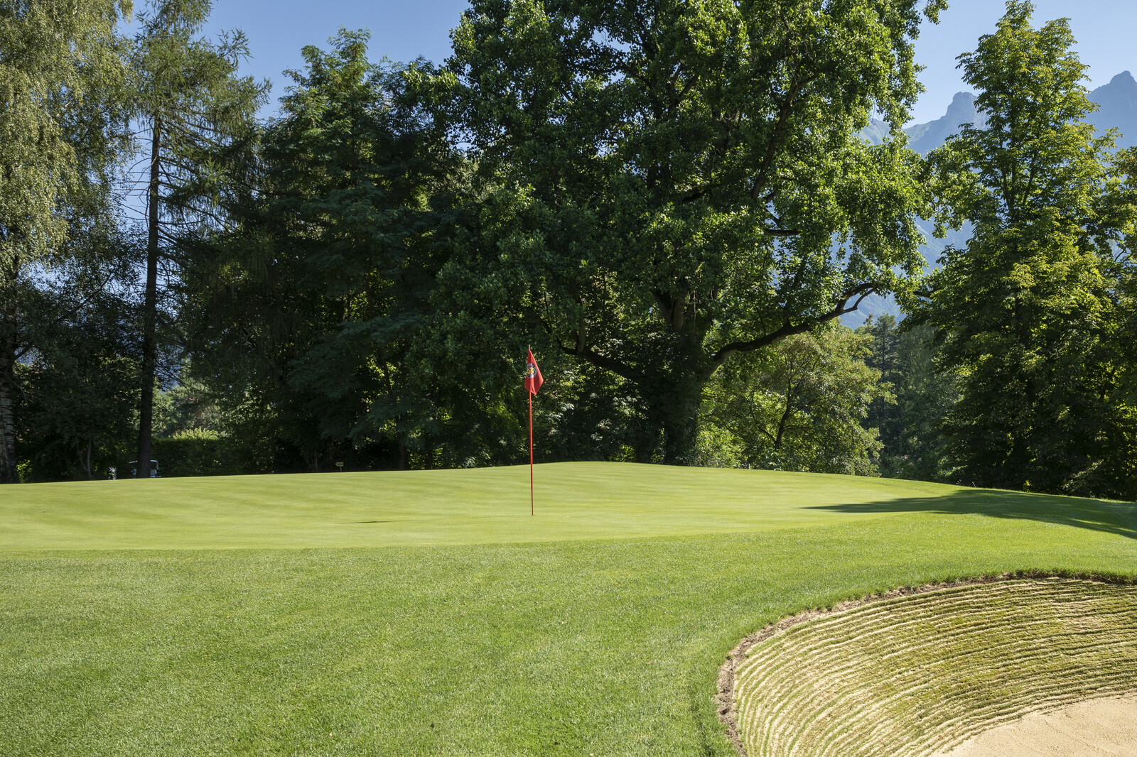 Der Golfplatz des Golfclub Bad Ragaz mit einem üppig grünen Putting-Bereich, einer roten Flagge in der Mitte und einem Sandbunker im Vordergrund. Hohe Bäume umgeben das Gelände.