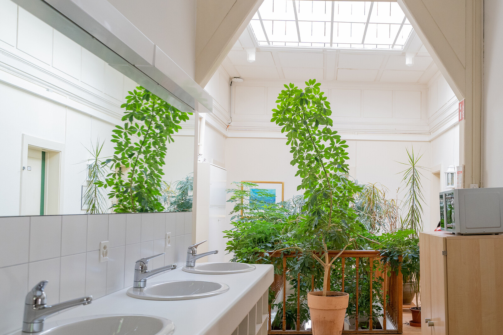 The top floor of the Hermitage staff house can be seen. There are sinks on the left and a microwave on the right. There are plants straight ahead. The staff house is part of the Hotel Grand Resort Bad Ragaz. This is a star hotel in Switzerland.